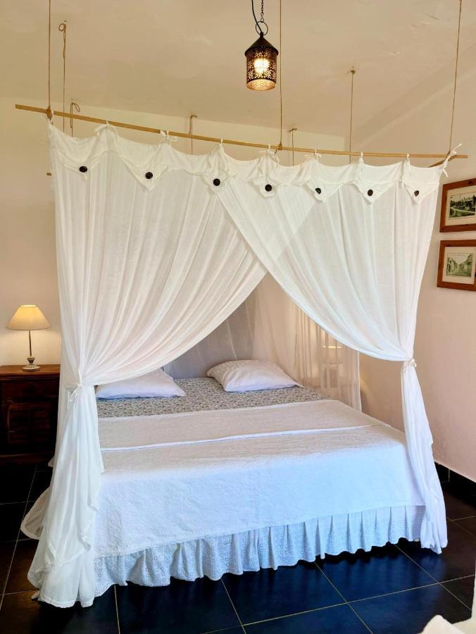 Habitation La Reine Du Camp Chambres D'Hotes Saint Claude Bagian luar foto